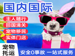 泰州航空快递国际宠物托运 【国